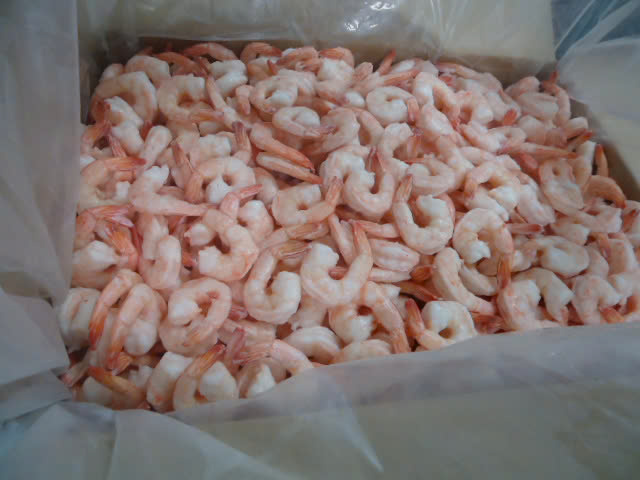 Tôm các loại - Công Ty TNHH MTV Thủy Sản Nam Mỹ